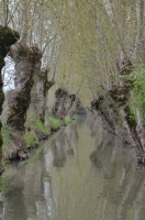 Marais Poitevin